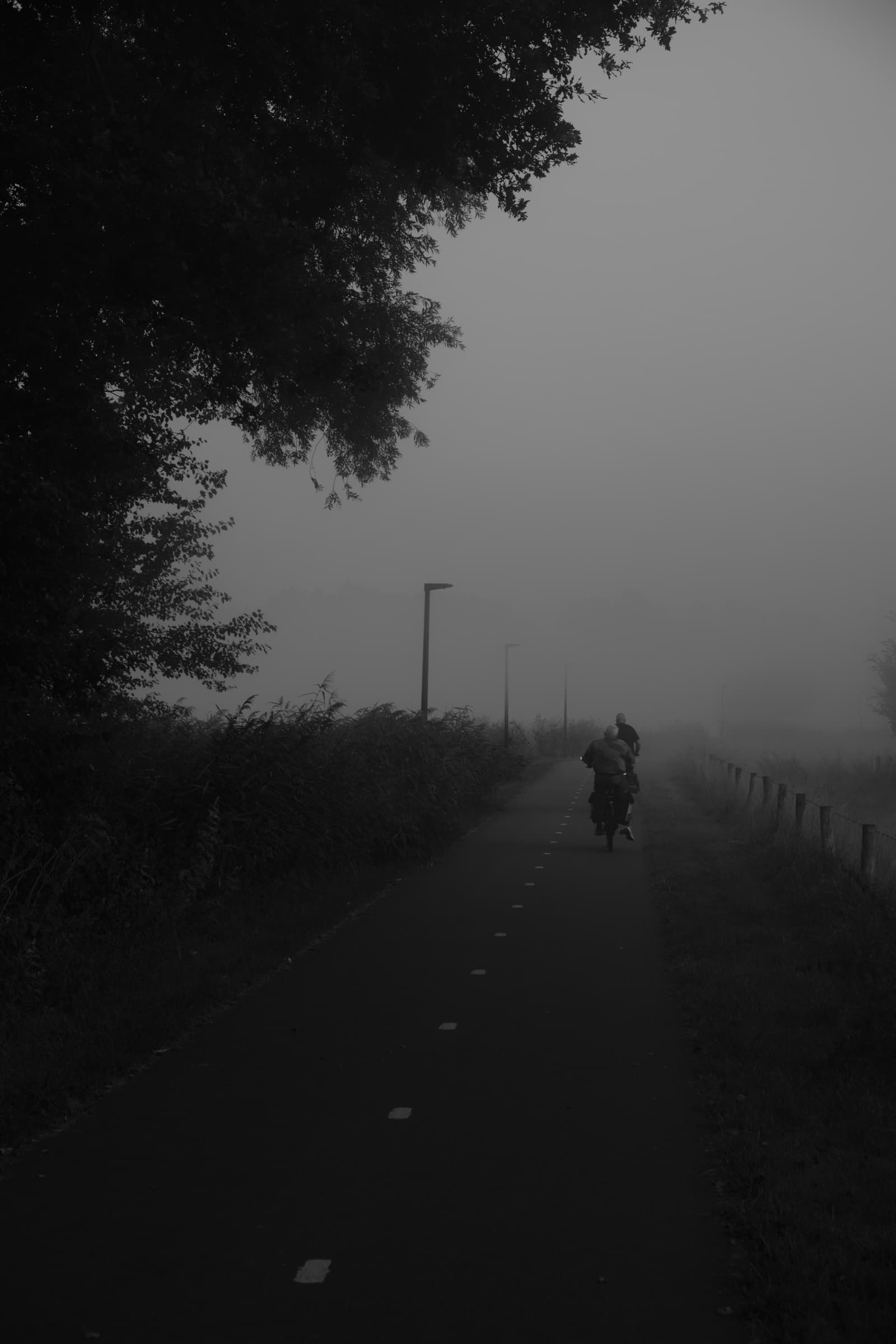 Photography by wobbat